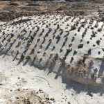 Services img 20260228 wa0045